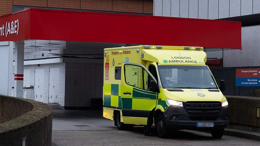    Фото: Global Look Press