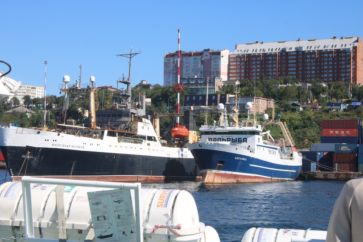 Рыбопромысловый флот