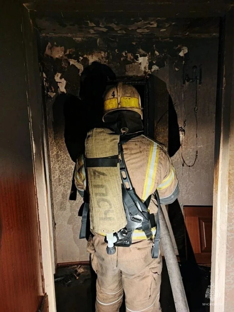    Пожар на Шукшина. Источник: ГУ МЧС по Алтайскому краю