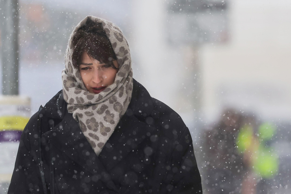    Наталья Шатохина/NEWS.ru