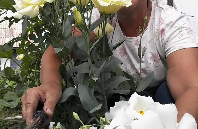 Даю себе слово больше не пить