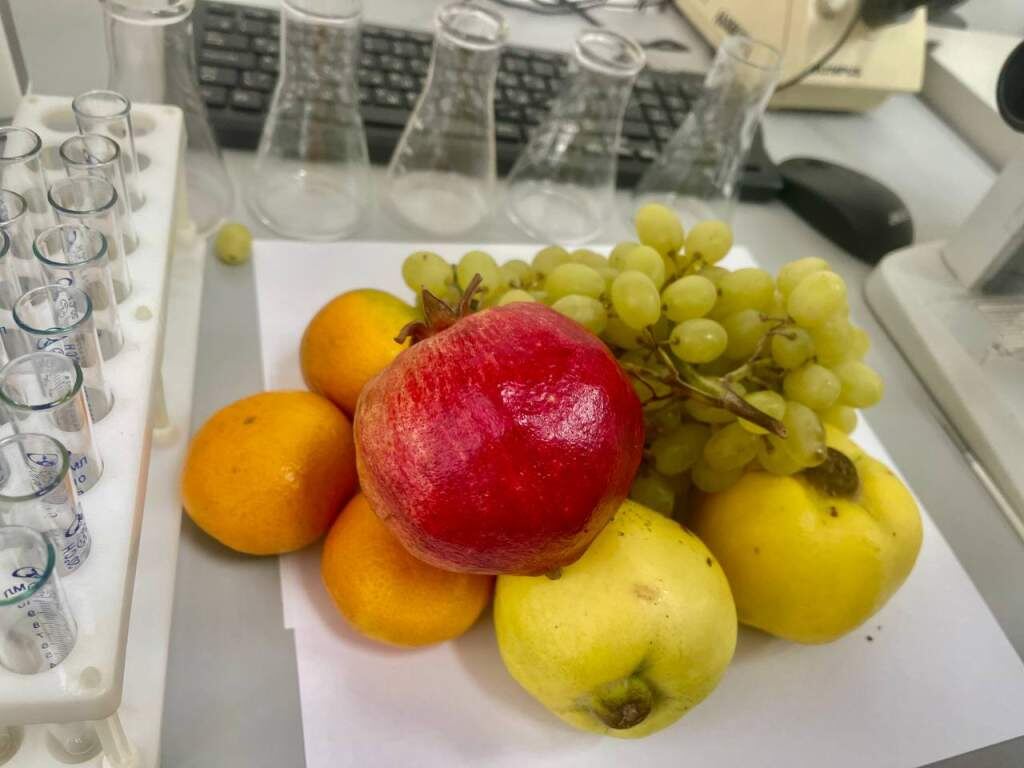    Фото: Донской филиал ЦОК АПК admin