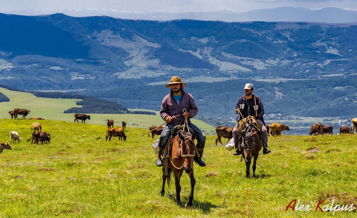Новый закон о трудовой миграции в Грузии с 1 марта 2026 года - давно пора!