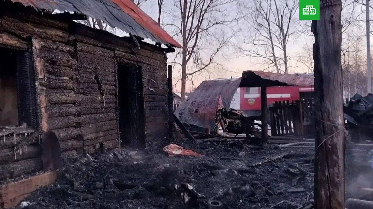    Фото: khabarovsk_smi / t.me