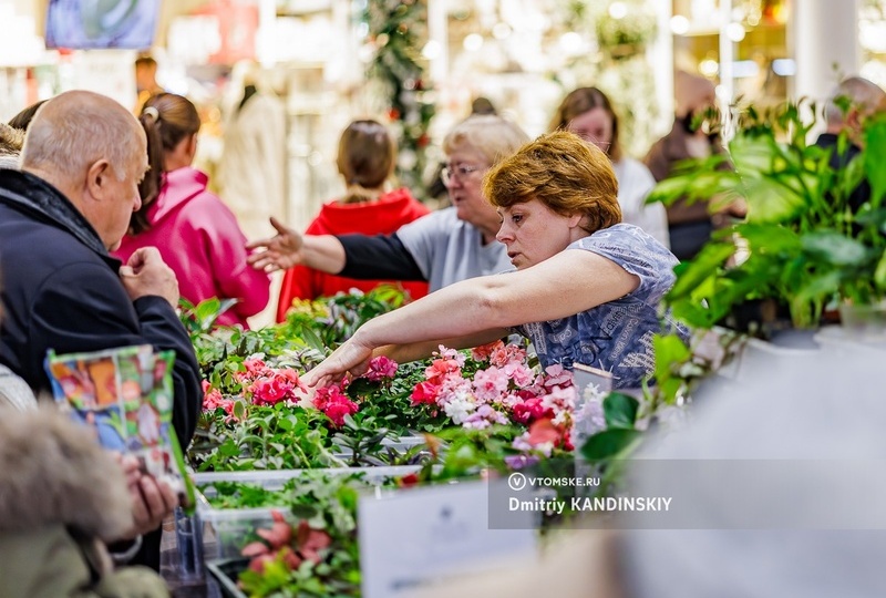 Ярмарка комнатных растений «Лето в доме» пройдет в Томске