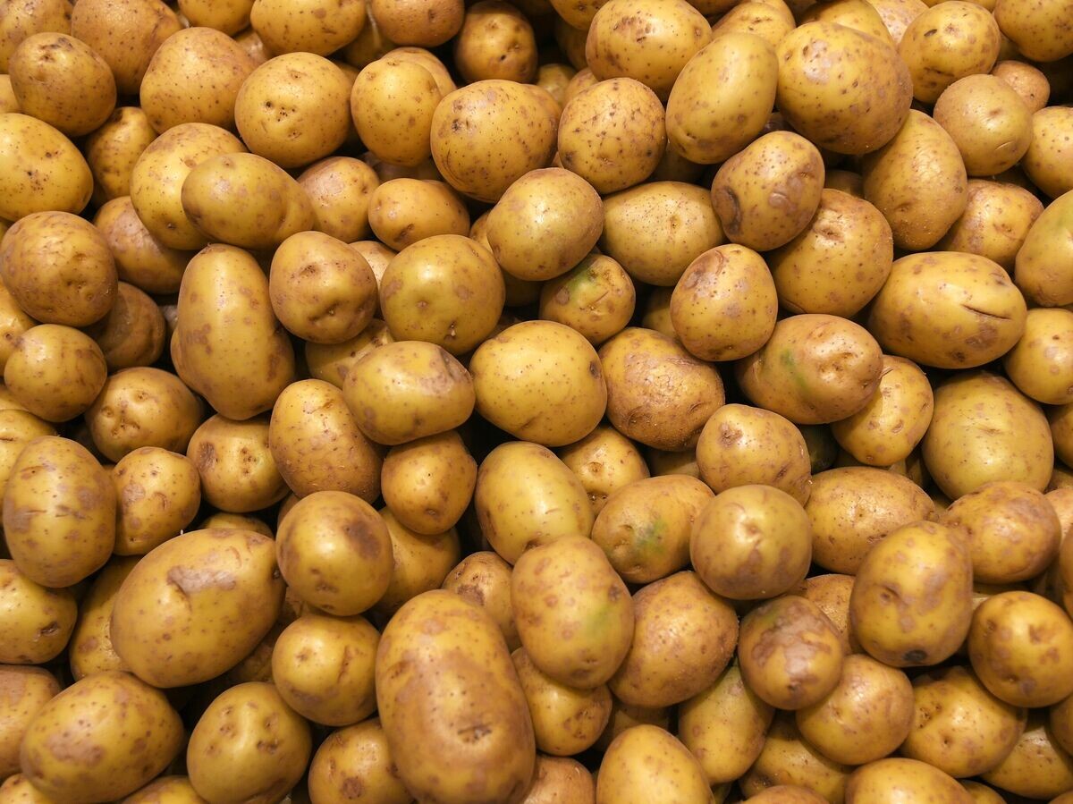    Картофель | © РИА Новости / Максим Блинов
