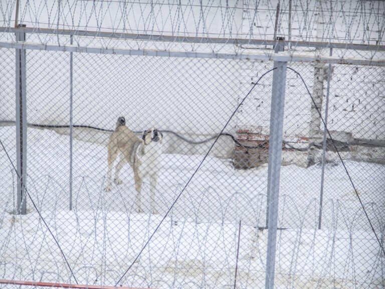    Фото: Общественная служба новостей Виктория Самойленко