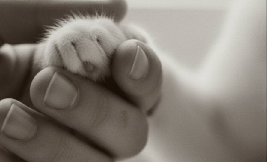 Из моей книги