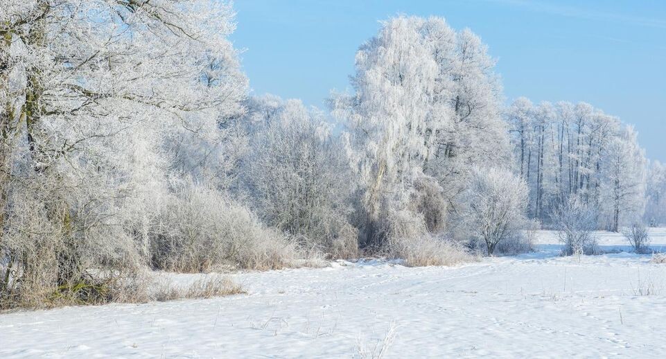    istockphoto.com/Piotr Krzeslak