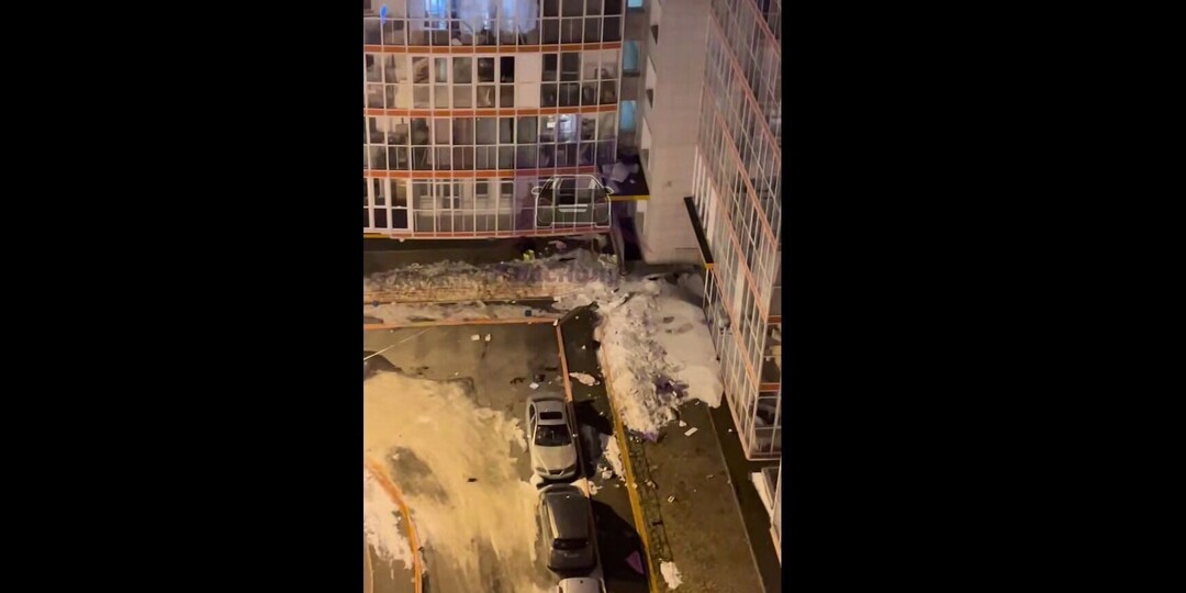 Красноярка скинула двух кошек и собаку с 14-го этажа. Они погибли