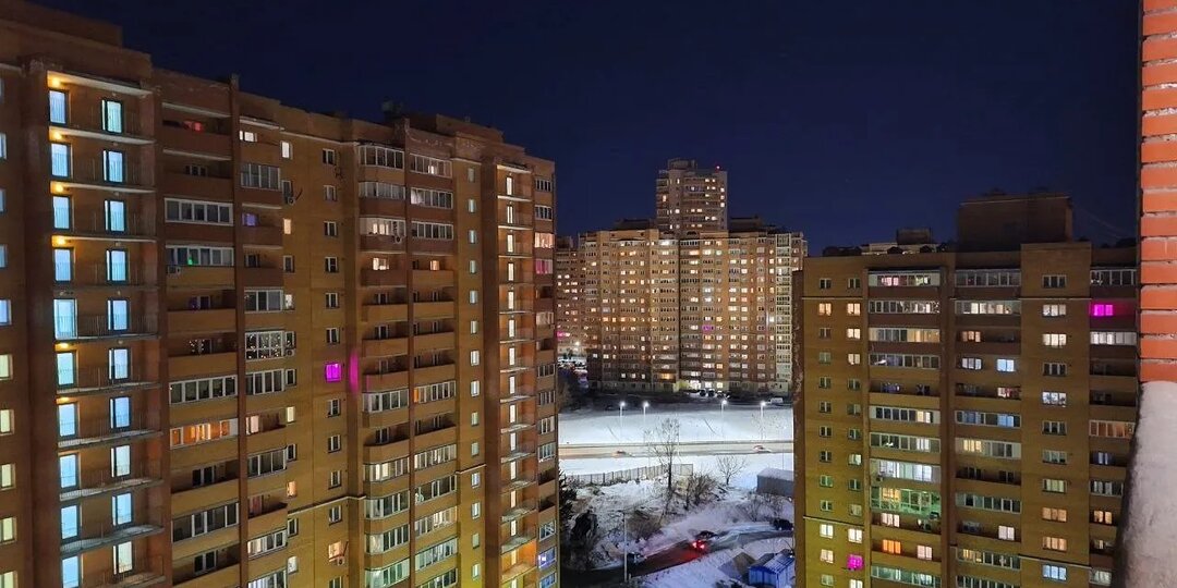 В Красноярске женщина выбросила с 14 этажа двух кошек и собаку