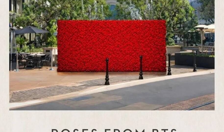 🫐 В Лос-Анджелесе и Лондоне появились инсталляции из красных роз "Roses from BTS", на обратной стороне которых написано: "What Is Your Love