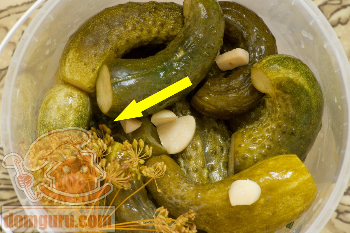    Секрет хрустящих огурцов раскрыт — глина против пластика