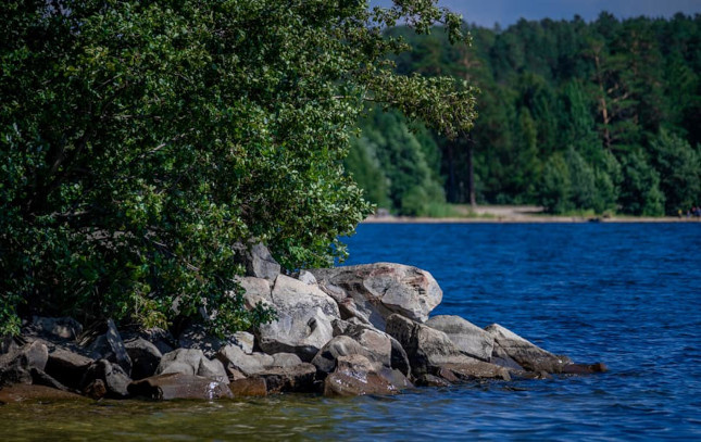 Фото: Людмила Ковалева, из архива редакции