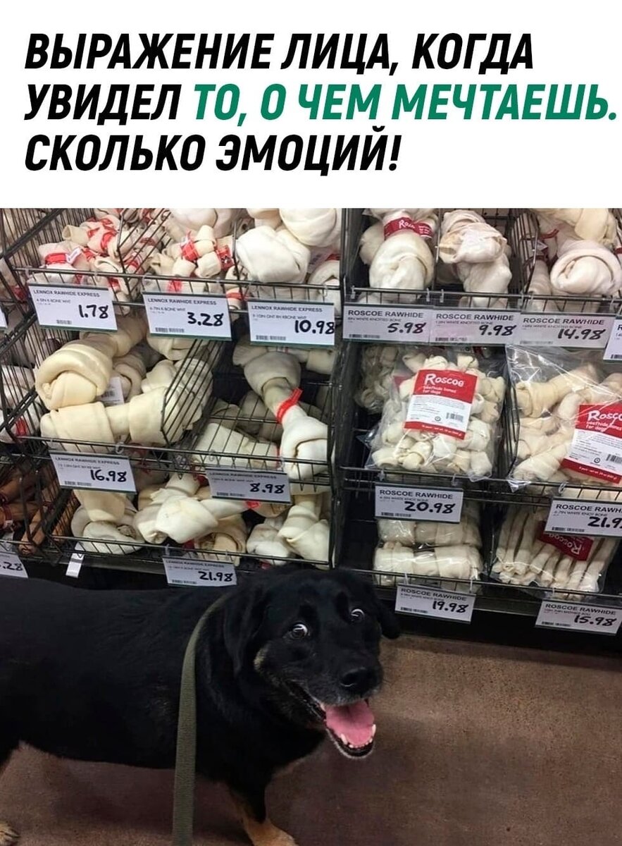 -И чего ты меня раньше сюда не водил???