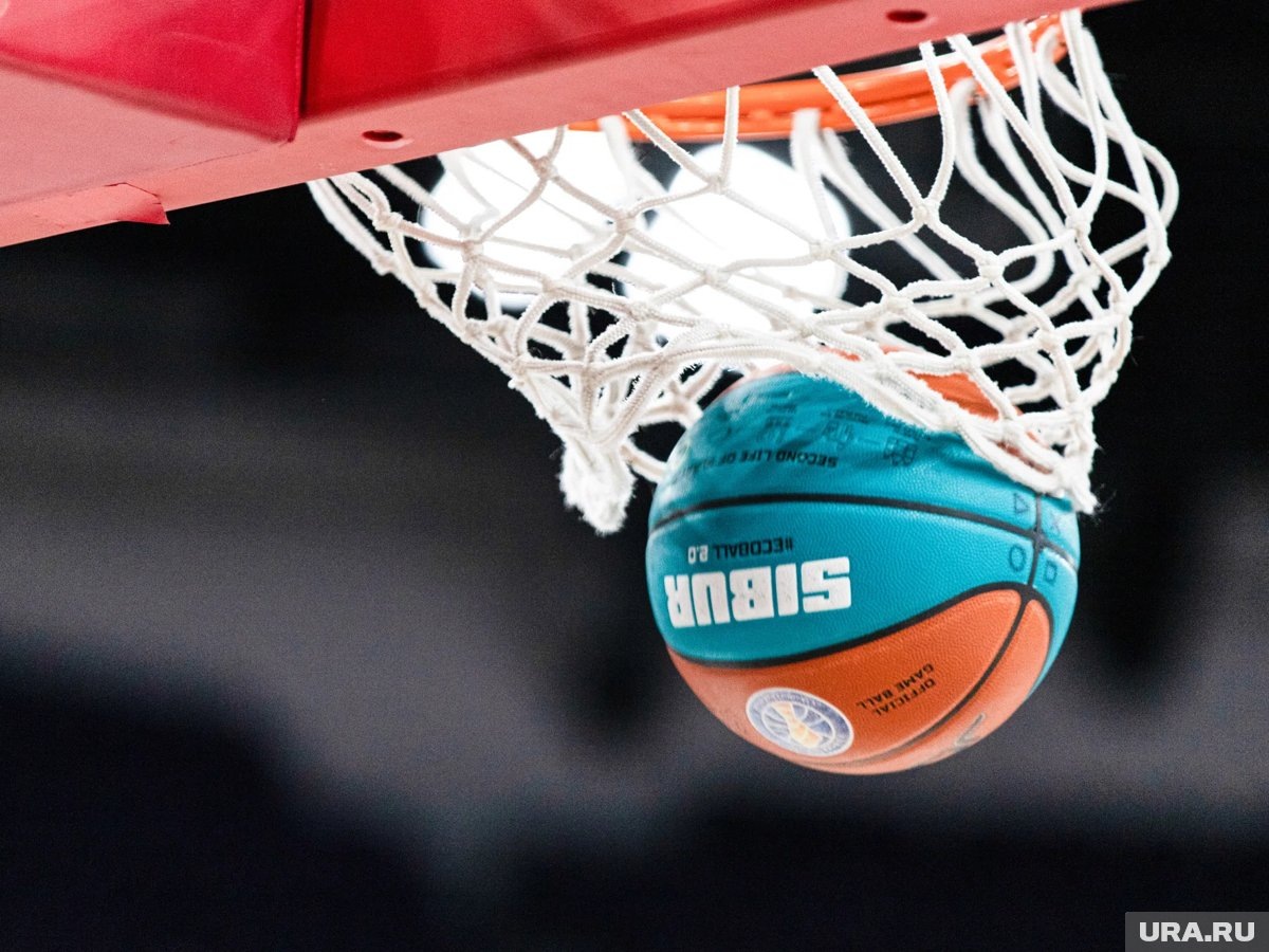     Собака после удара по шее от баскетболиста потеряла сознание, рассказала Полина Кобылинская