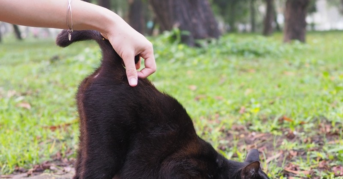 Фотография из интернета