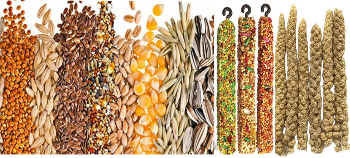 Какое разннообразие. Эх, сам бы ел, да волнистику надо! ))