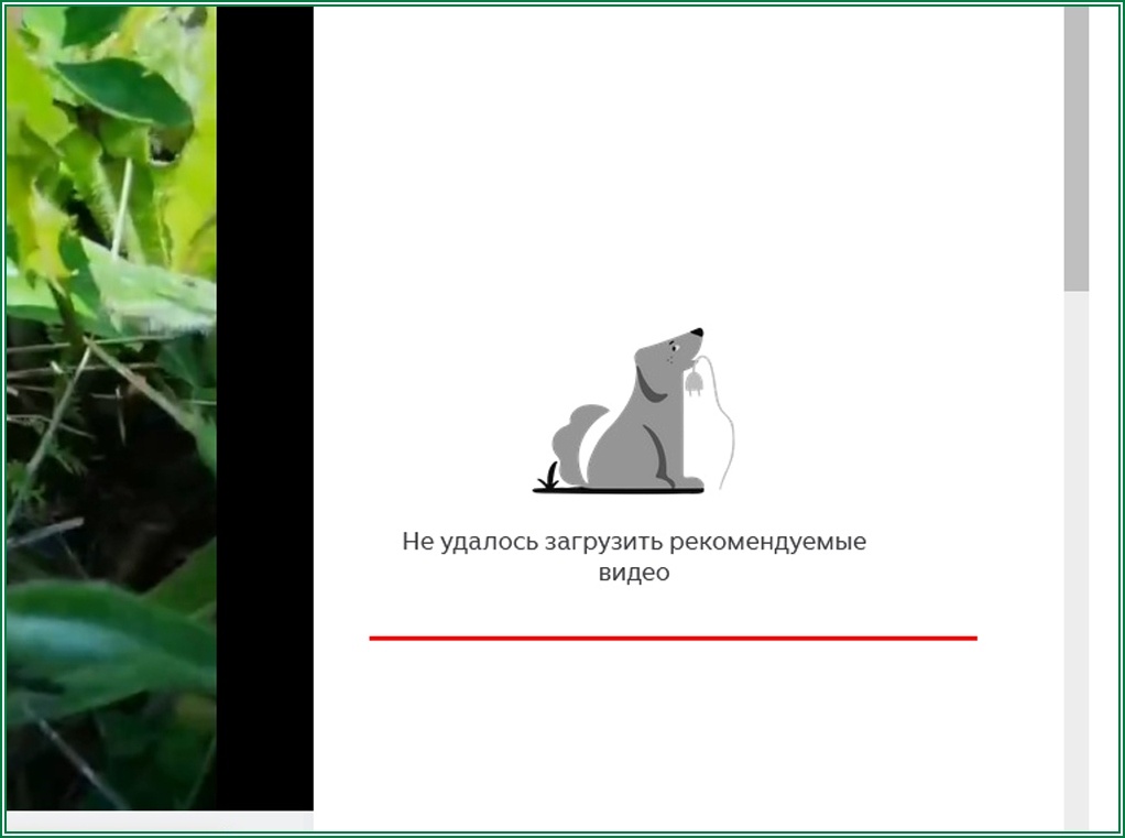 Пёсик скучает...