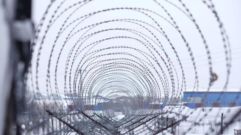    Фото: Юлия Чудинова/АНО «Ямал-Медиа»