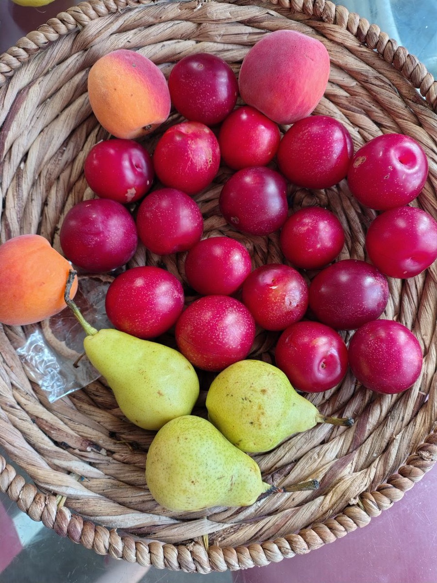 Еще у нас в холодильнике лежит большой пакет винограда киш-миш. Он холодный очень вкусный.