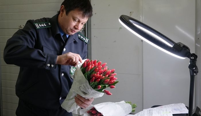 Фото: пресс-служба Сибирского межрегионального управления Россельхознадзора.