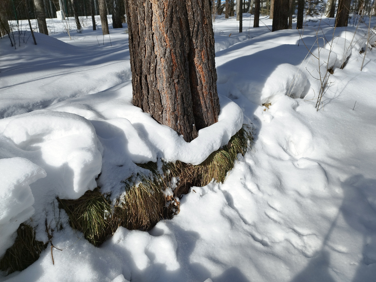 Прошлой весной в Гремячей гриве. Фото из личного архива автора