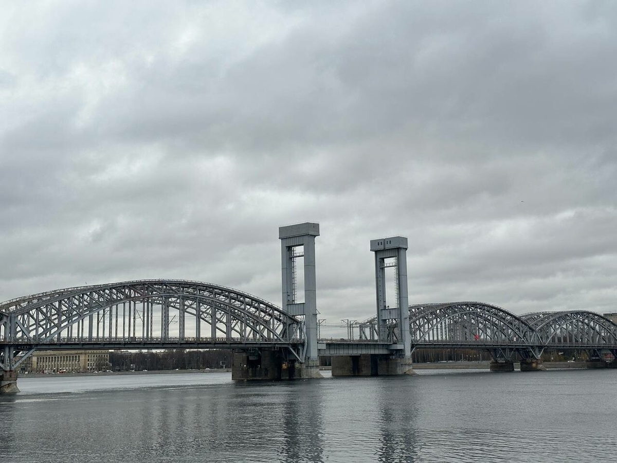     Фото: "Бриф24"