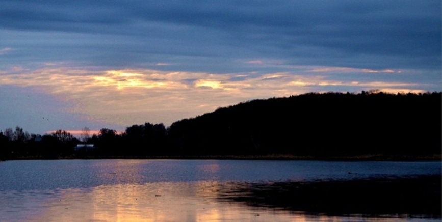 Гугл картинки. 