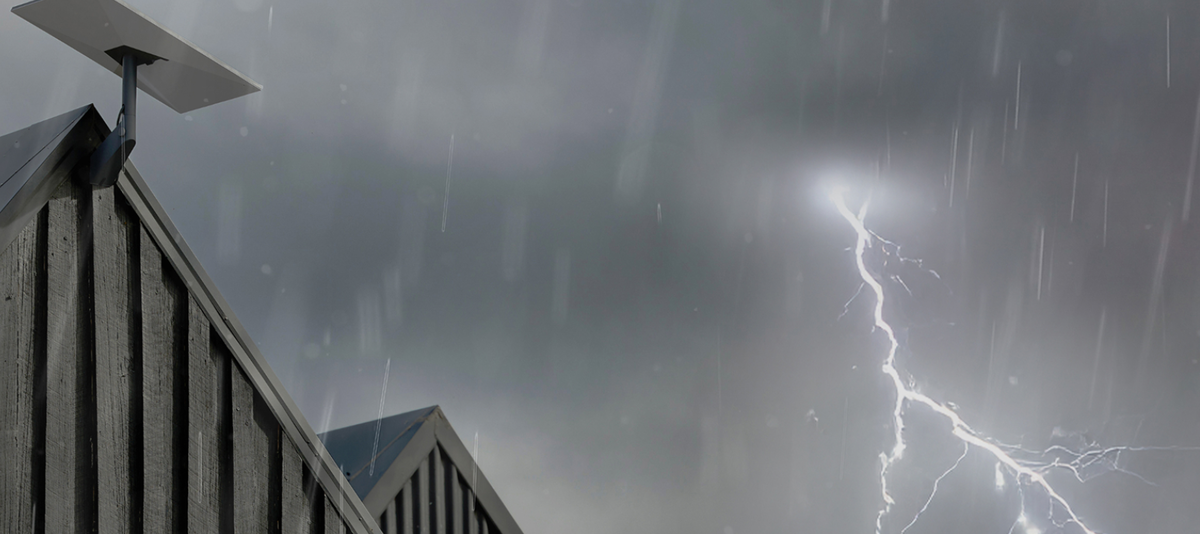 Фото Starlink  📷
