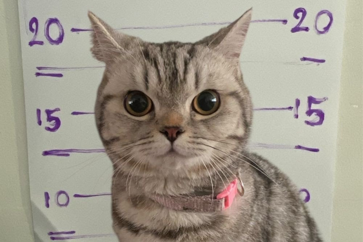 Фото с сайта: https://www.super.kg/kabar/news/465060