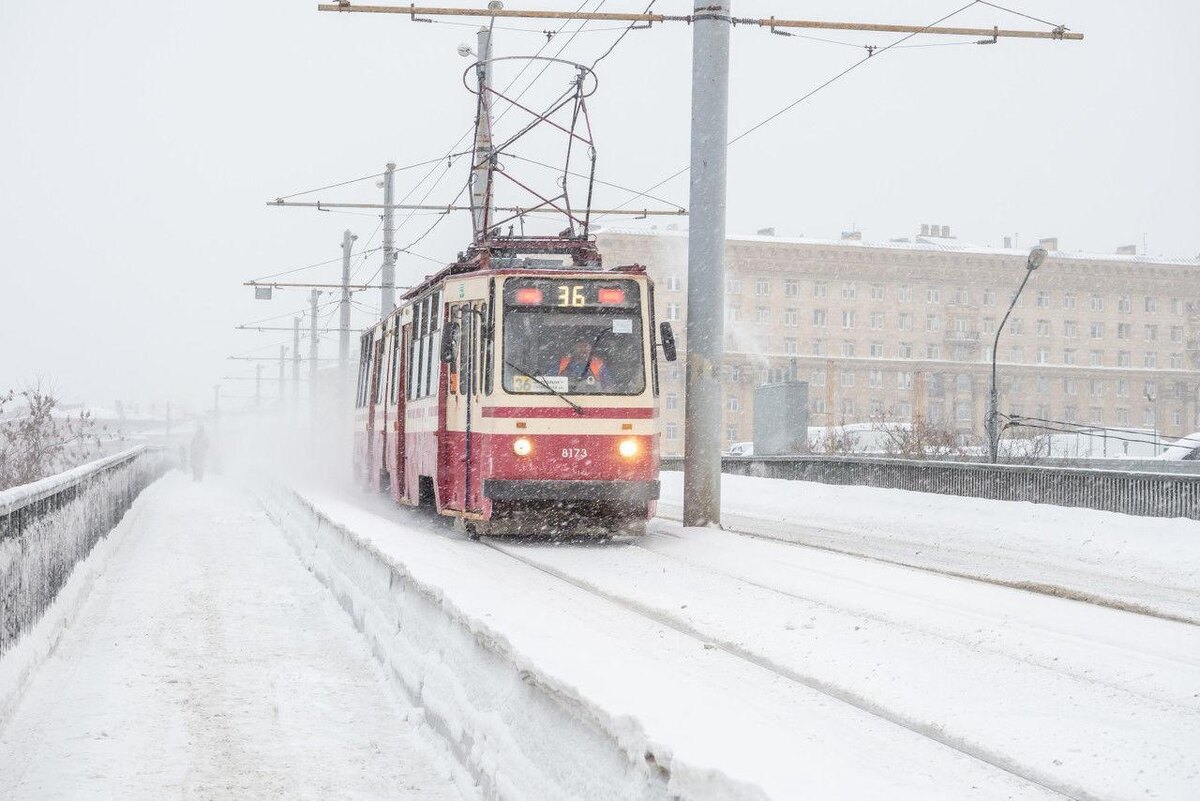    Фото: Петербургский Дневник