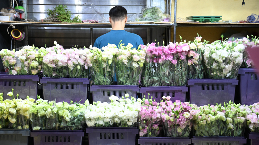    Фото: © РИА Новости/Алексей Майшев; 5-tv.ru