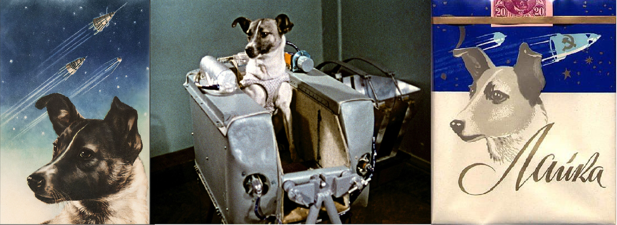 Собака "Лайка" - первый космонавт в истории человечества совершивший первый орбитальный полёт вокруг Земли.  Полёт "Лайки" - это трагическая и бесчеловечная страница в истории советской космонавтики (мнение автора канала) 