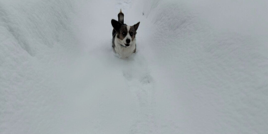 Пермские снегопады побили почти 150-летний рекорд