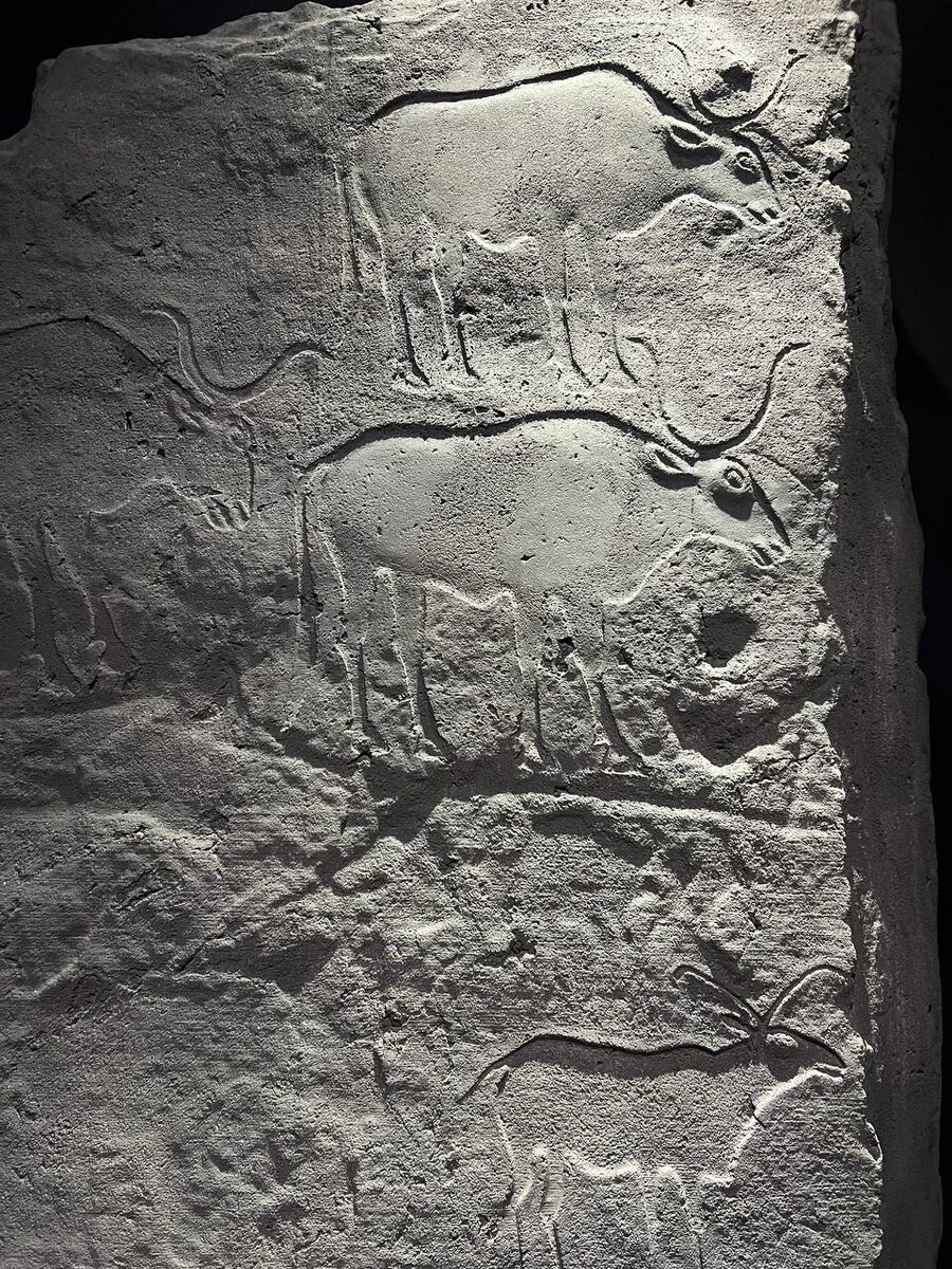 Петроглифы 