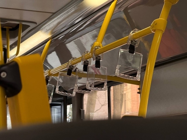     В обратном направлении транспорт проедет по тем же улицам. Фото: архив МК в Питере