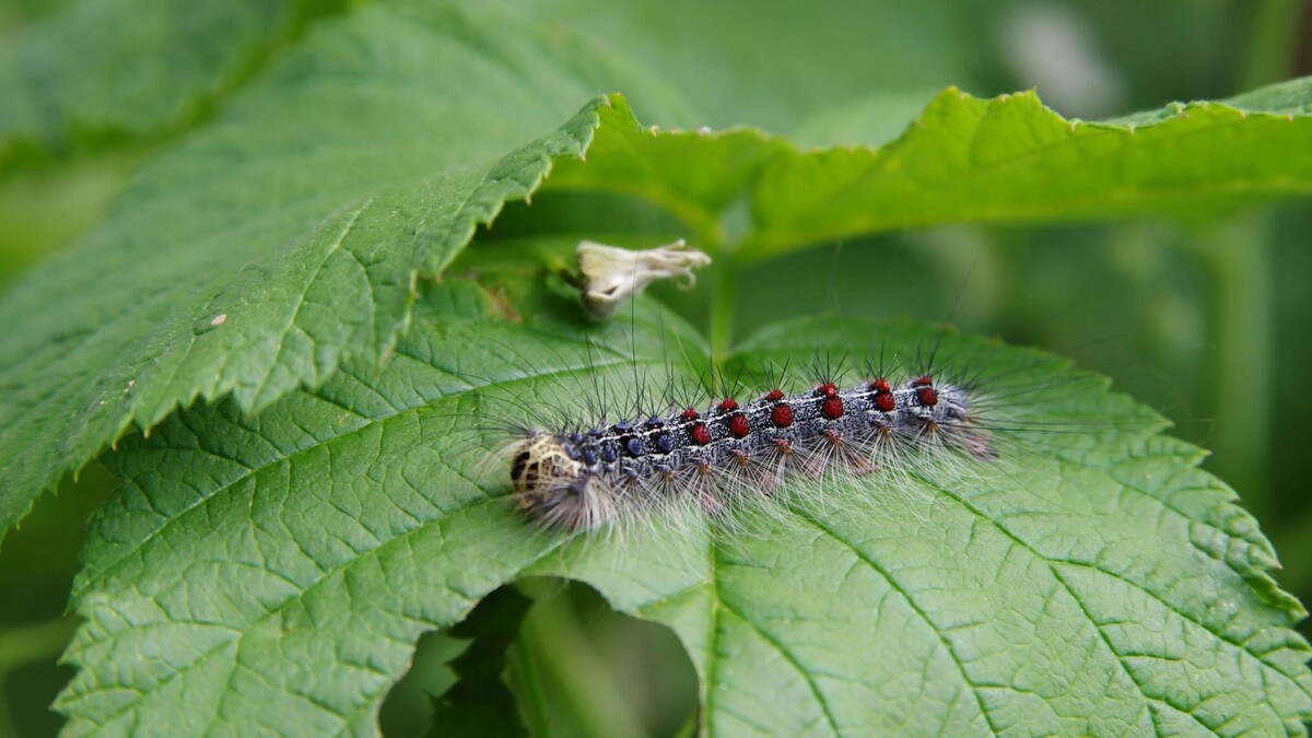   Фото: Olga Shum/Shutterstock/Fotodom