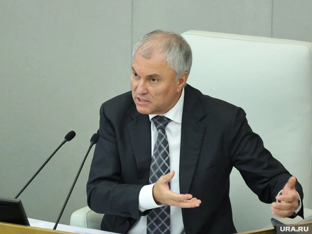     Украинские террористы инструктируют и обещают спонсировать покупку оружия, заявил Володин