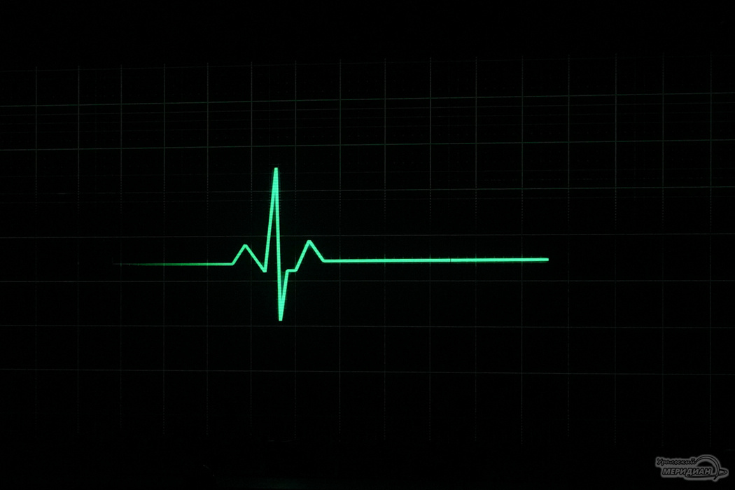    Фото: Лидия Аникина © ИА «Уральский меридиан»