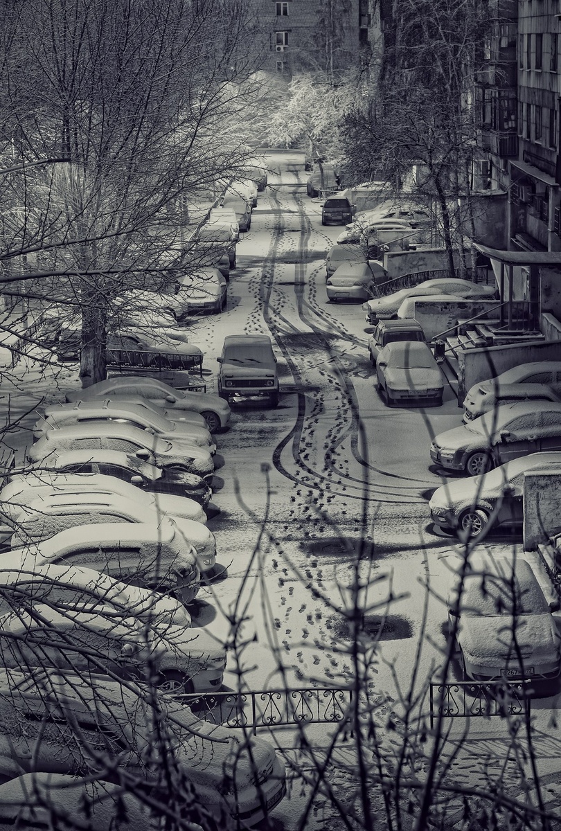 фото Андрея Павлычева