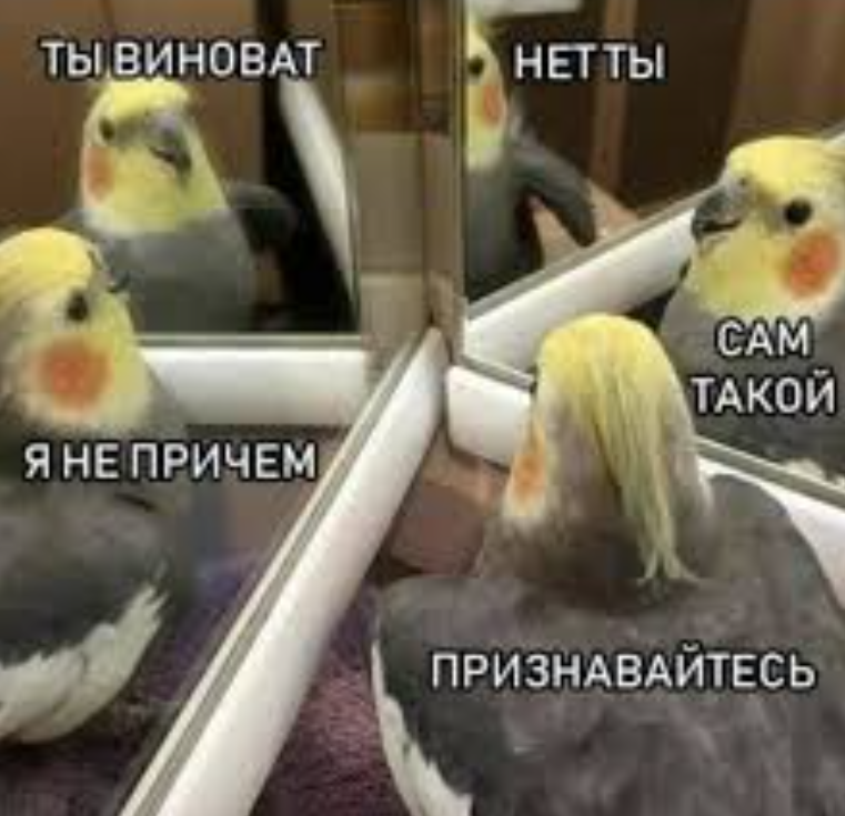 Мем с просторов интернета, https://x.com/helloy0255/status/1074928830958235648