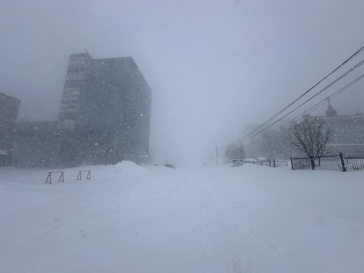    Метель, Сахалин, погода, зима Наталья Краснова