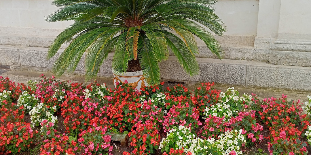 Нужно ли работать на пенсии? Здравствуй Масленица!