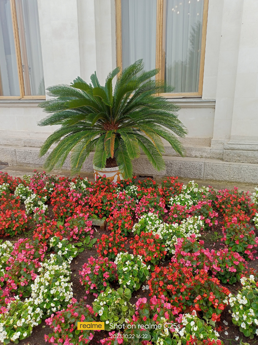 Фото автора.