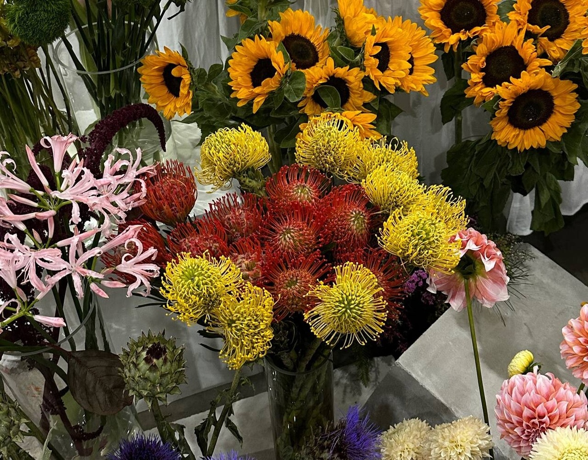     Фото: "Бриф24"