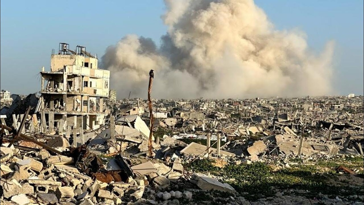 Фото взято из открытых источников