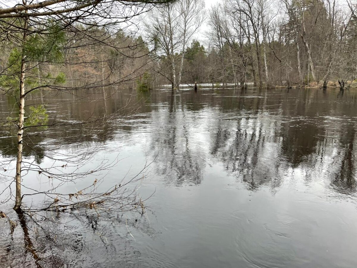 Вот таким предстал перед нами Керженец в конце апреля 2021 года.