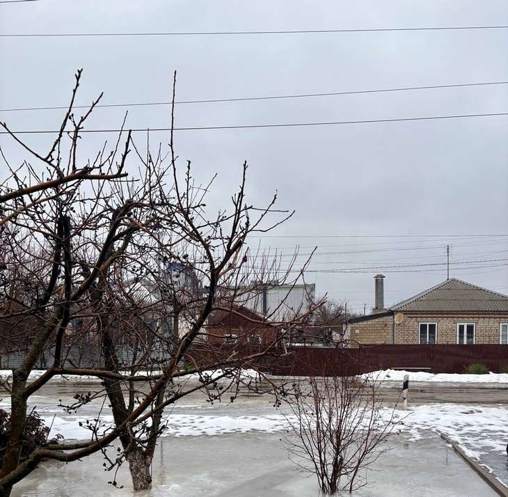    природа Редакция Газеты