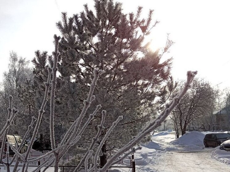   Олег Макаров